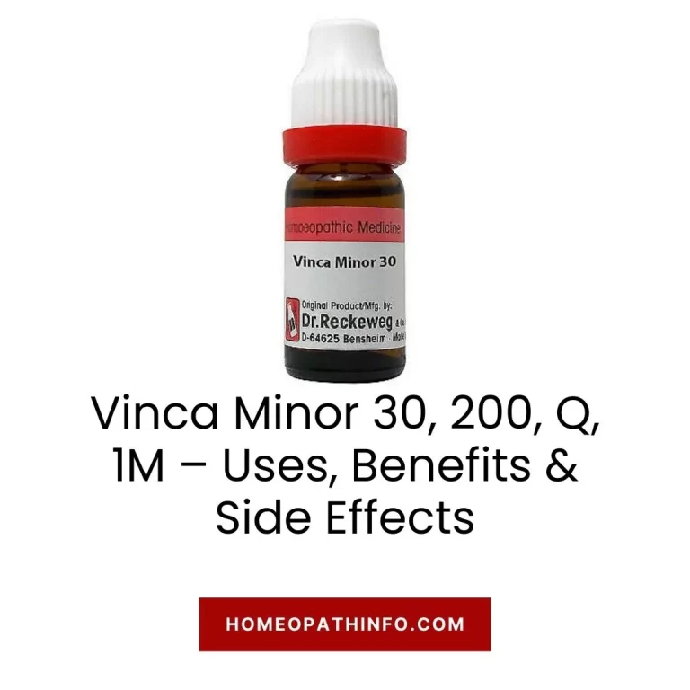 Vinca Minor 30, 200, Q, 1M – Uses, Benefits & Side Effects 10 Vinca Minor 30, 200, Q, 1M – Uses, Benefits & Side Effects