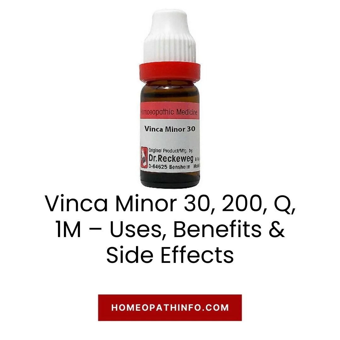 Vinca Minor 30, 200, Q, 1M – Uses, Benefits & Side Effects 13 Vinca Minor 30, 200, Q, 1M – Uses, Benefits & Side Effects