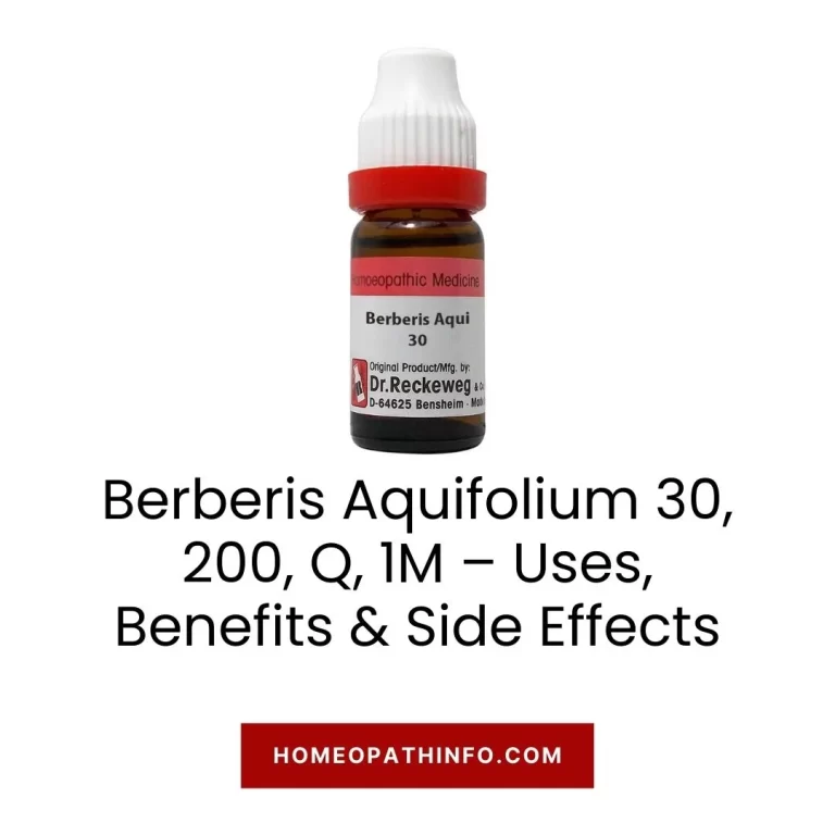 Berberis Aquifolium 30, 200, Q, 1M – Uses, Benefits & Side Effects 10 Berberis Aquifolium 30, 200, Q, 1M – Uses, Benefits & Side Effects