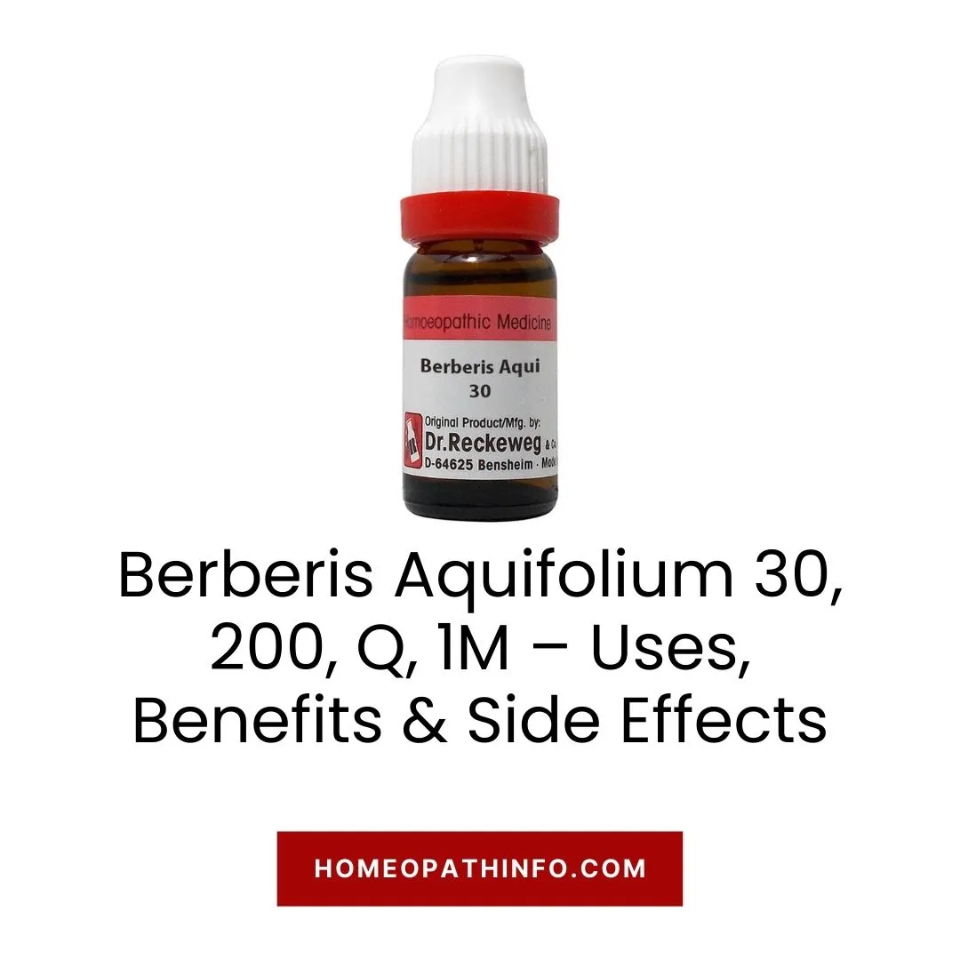 Berberis Aquifolium 30, 200, Q, 1M – Uses, Benefits & Side Effects 1 Berberis Aquifolium 30, 200, Q, 1M – Uses, Benefits & Side Effects