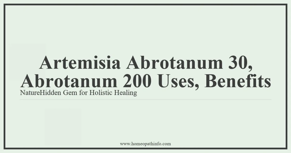 Artemisia Abrotanum 30 Abrotanum 200 Uses Benefits NatureHidden Gem for Holistic Healing