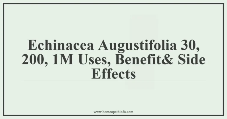 Echinacea Augustifolia 30 200 1M Uses Benefit Side Effects