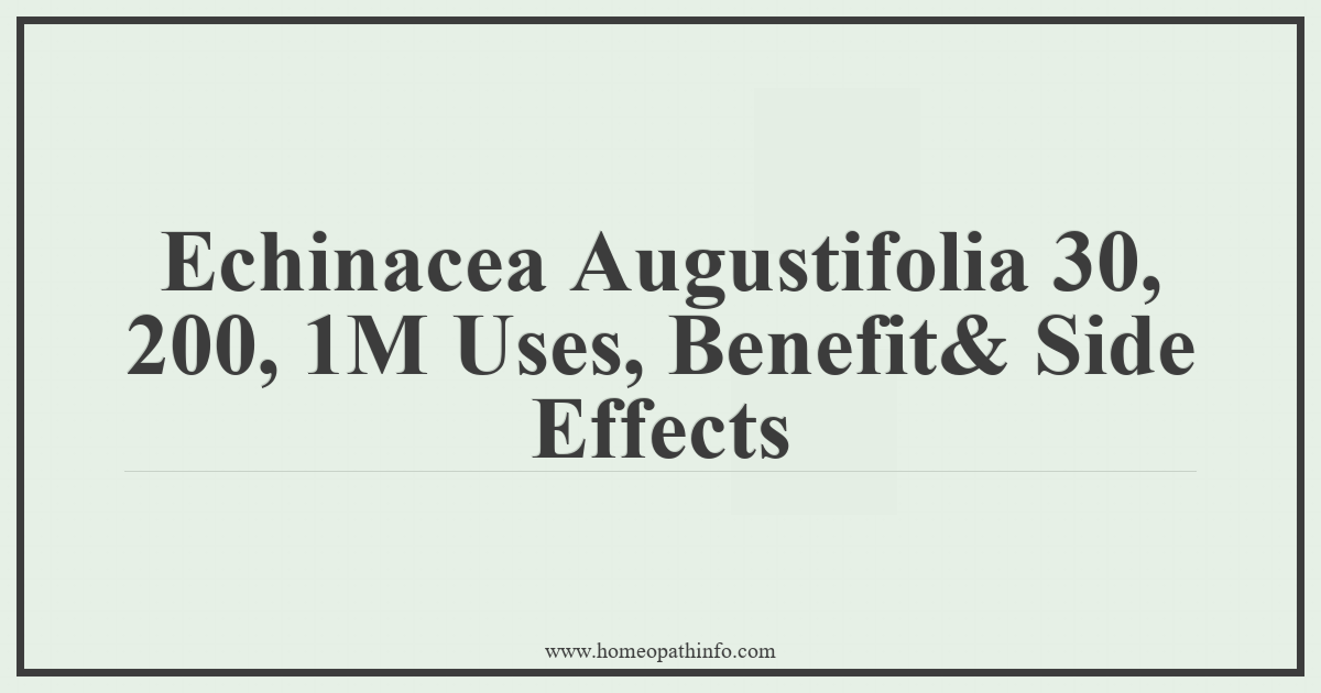 Echinacea Augustifolia 30, 200, 1M Uses, Benefits & Side Effects 8 Echinacea Augustifolia 30 200 1M Uses Benefit Side Effects