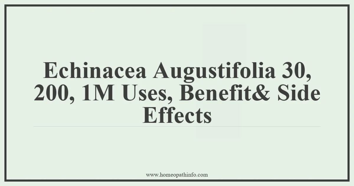 Echinacea Augustifolia 30 200 1M Uses Benefit Side Effects