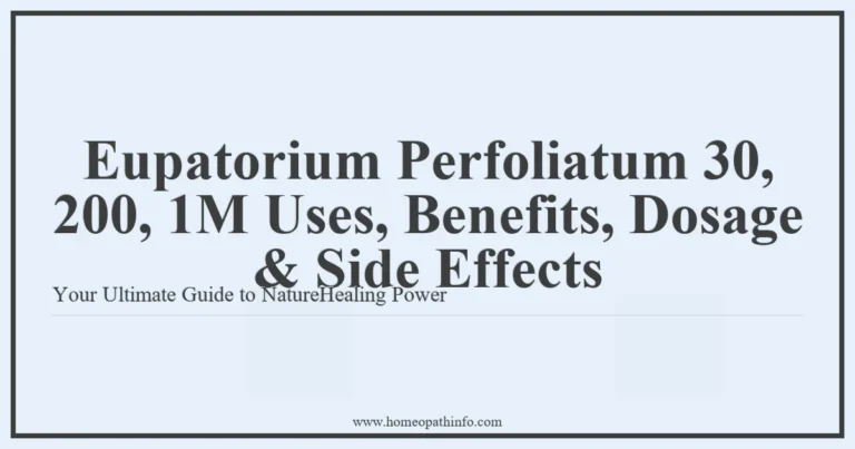 Eupatorium Perfoliatum 30 200 1M Uses Benefits Dosage Side Effects Your Ultimate Guide to NatureHealing Power