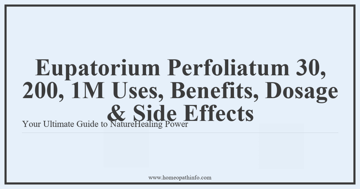 Eupatorium Perfoliatum 30, 200, 1M Uses, Benefits, Dosage & Side Effects: Your Ultimate Guide to Nature's Healing Power 5 Eupatorium Perfoliatum 30 200 1M Uses Benefits Dosage Side Effects Your Ultimate Guide to NatureHealing Power