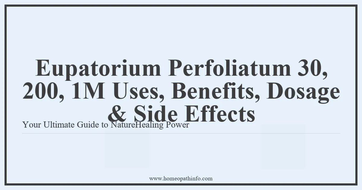 Eupatorium Perfoliatum 30 200 1M Uses Benefits Dosage Side Effects Your Ultimate Guide to NatureHealing Power
