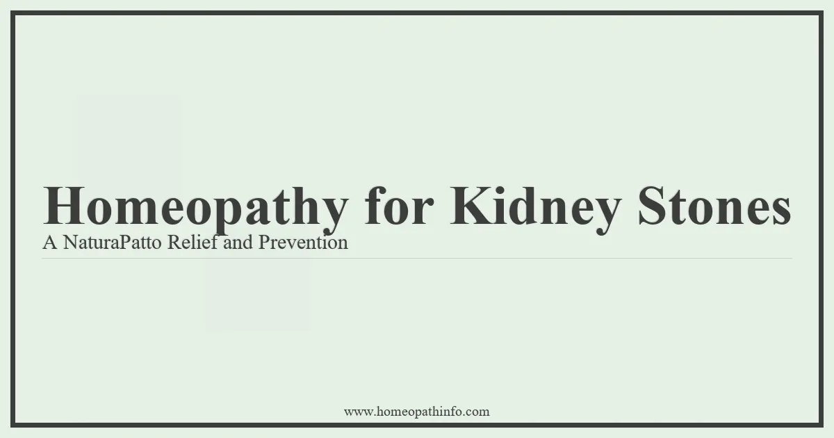 Homeopathy for Kidney Stones A NaturaPatto Relief and Prevention