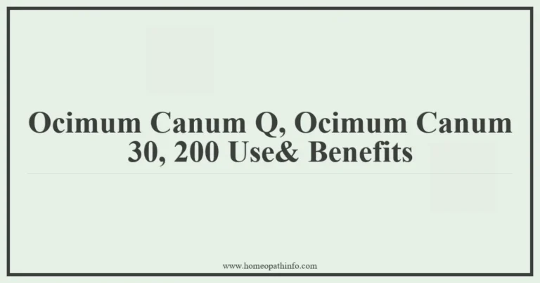 Ocimum Canum Q Ocimum Canum 30 200 Use Benefits