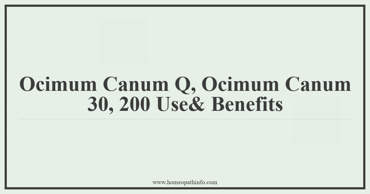 Ocimum Canum Q, Ocimum Canum 30, 200 Uses & Benefits 3 Ocimum Canum Q Ocimum Canum 30 200 Use Benefits