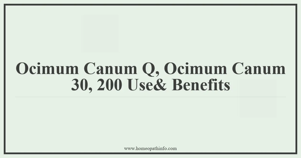 Ocimum Canum Q Ocimum Canum 30 200 Use Benefits