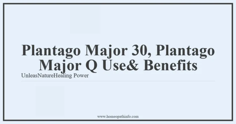 Plantago Major 30 Plantago Major Q Use Benefits UnleasNatureHealing Power