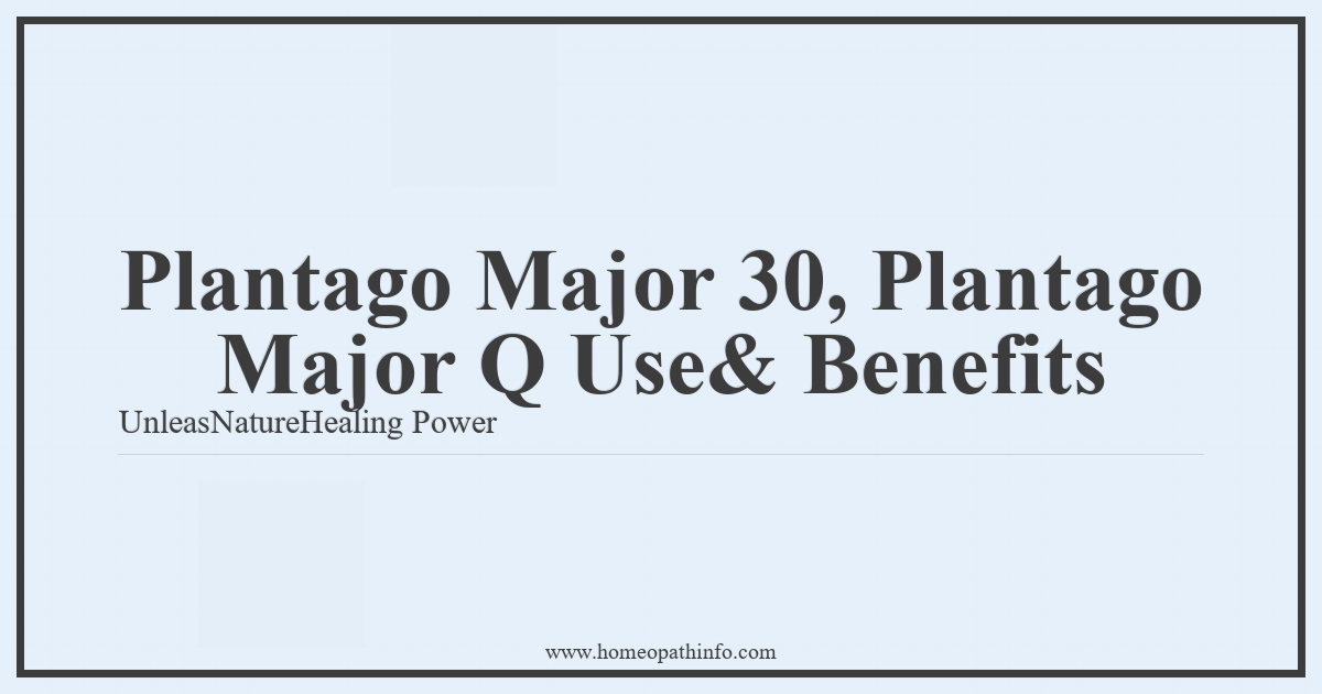 Plantago Major 30, Plantago Major Q Uses & Benefits: Unleash Nature's Healing Power 10 Plantago Major 30 Plantago Major Q Use Benefits UnleasNatureHealing Power