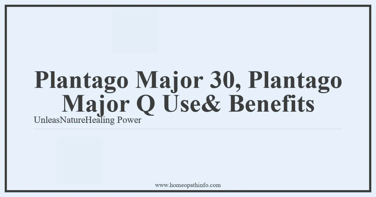 Plantago Major 30 Plantago Major Q Use Benefits UnleasNatureHealing Power
