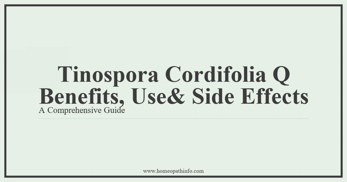Tinospora Cordifolia Q Benefits, Uses & Side Effects: A Comprehensive Guide 1 Tinospora Cordifolia Q Benefits Use Side Effects A Comprehensive Guide