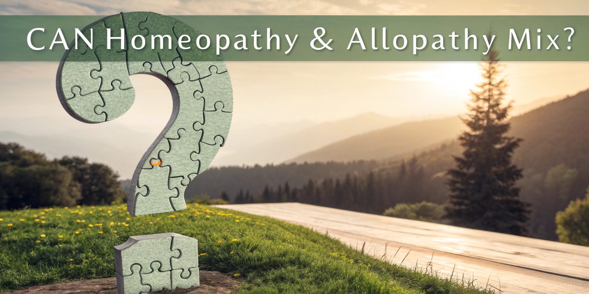 Can Homeopathy and Allopathy Mix? 1 can homeopathy allopathy mix