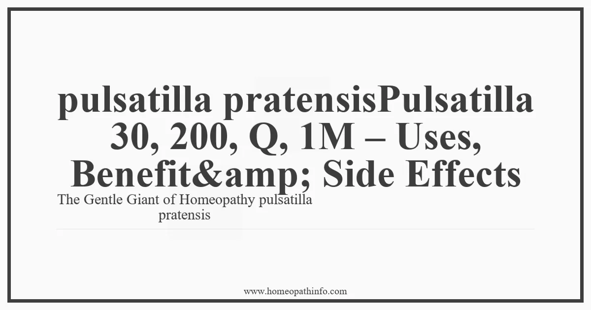pulsatilla pratensisPulsatilla 30 200 Q 1M Uses Benefitamp Side Effects The Gentle Giant of Homeopathy pulsatilla pratensis